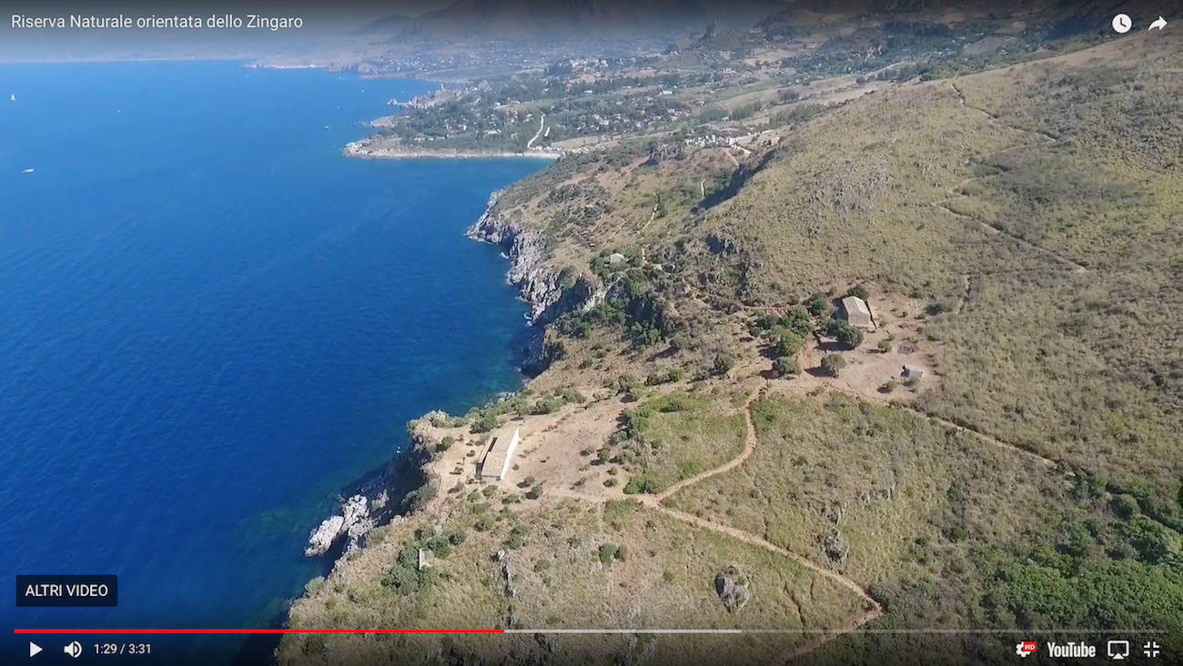 cala berretta