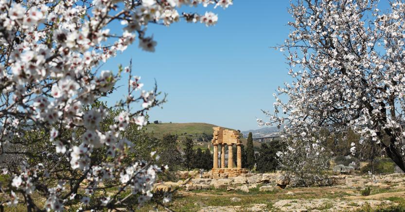 Sagra del Mandorlo in Fiore