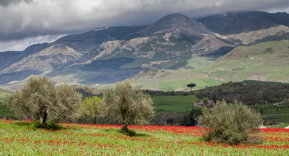 Nordic Walking Park in Sicilia