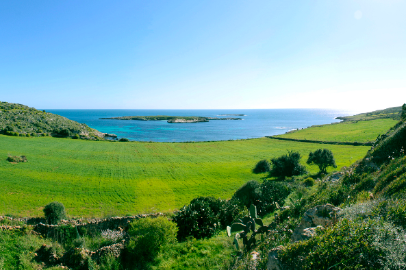 Favignana