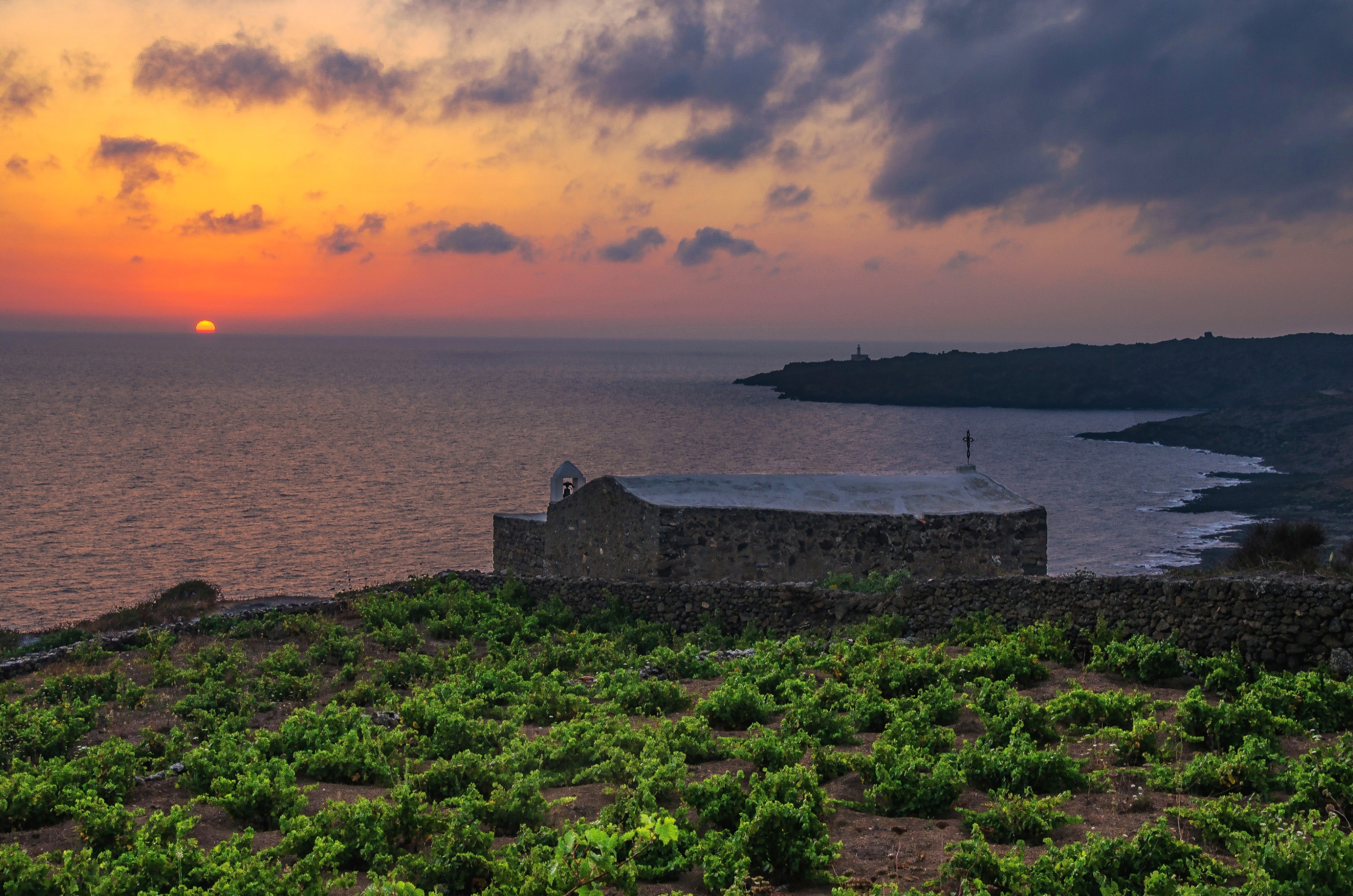 vigne_di_pantelleria