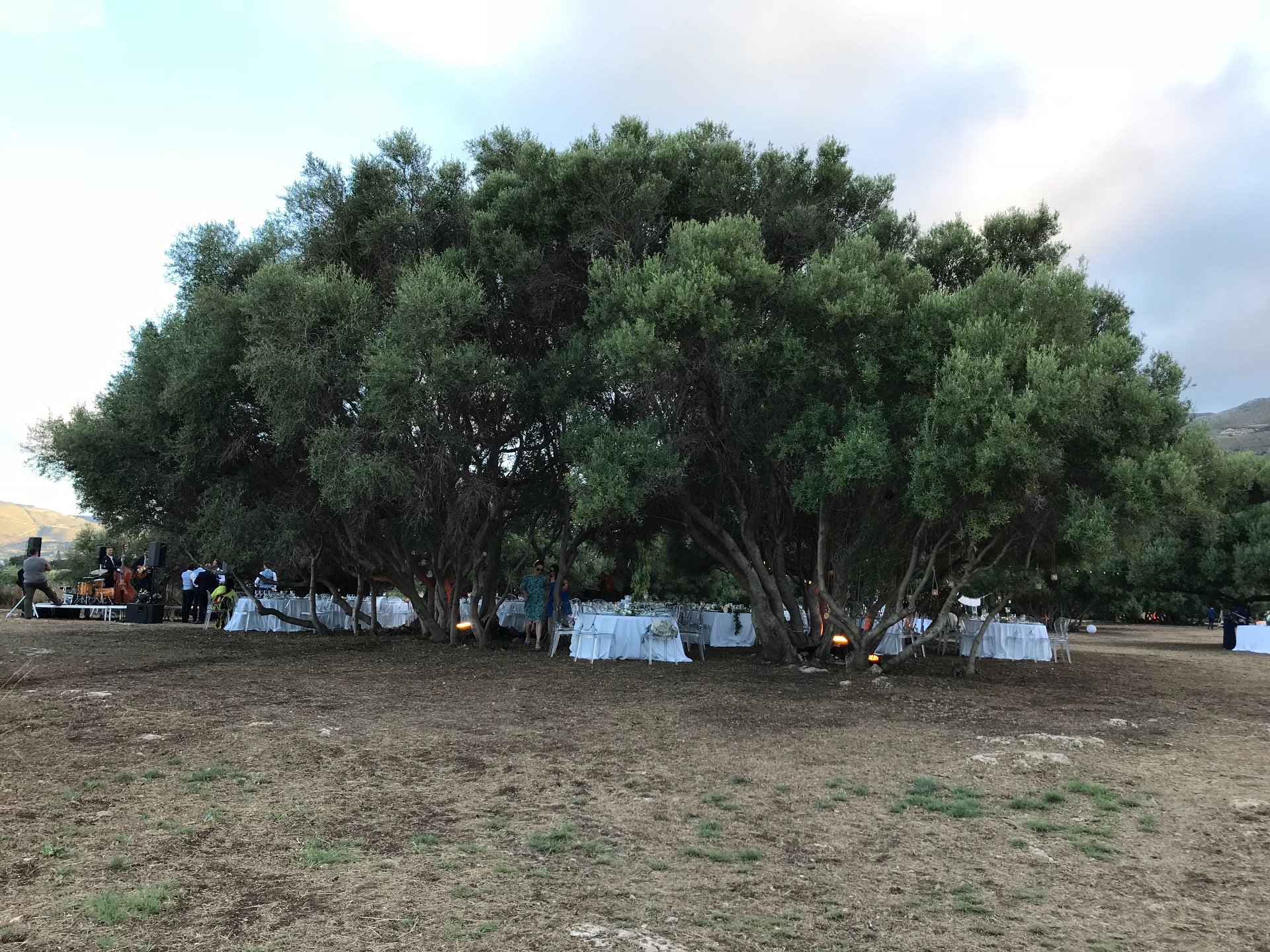 Riserva degli Ulivi Saraceni e della Macchia Mediterranea Scopello