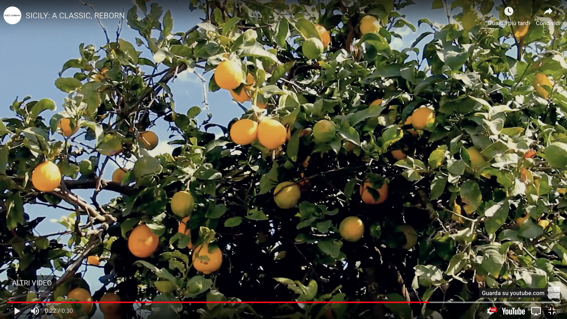 Dolce&Gabbana Sicily